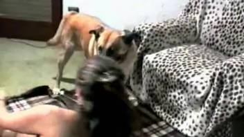 Insane canine sex animal homemade clip featuring a voluptuous older lady hungry for dick