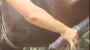 Outdoor girl-horse intercourse