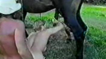 Aroused ladies dividing equine dick at open-air animal park porn