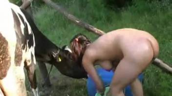 Naughty brown-haired vixen impresses with homemade videos featuring authentic equine penis oral action