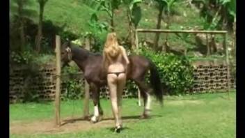 outdoor horse blowjob on cam with a naked babe