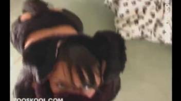 Hot mature woman fantasy session with her pet in a wild domestic animal intimacy performance