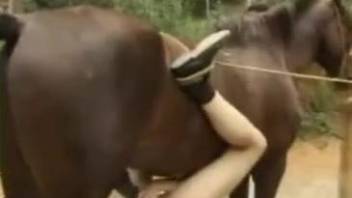Dirty females using the giant horse cock for sexual xxx
