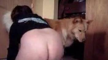 Fat ass woman hard fucked by the dog at home