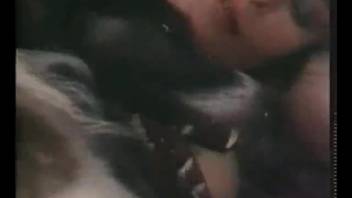 Vintage adult video clips featuring mature women and canines engaging in authentic bestiality encounters