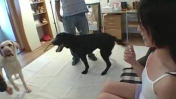 Asian girl is in seventh heaven being fucked by dog