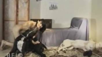 Extremely thin brunette getting tag-teamed by the hounds