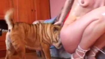Lascivious bitch got dog to teach it how to fuck her