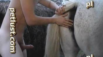 Hung guy violently fucking a white horse outdoors
