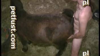 Slender bestiality enthusiast screwed a cute little brown pony