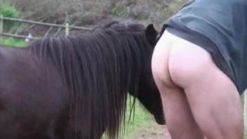 Tight guy enjoys horse cock in his ass during a wild shag