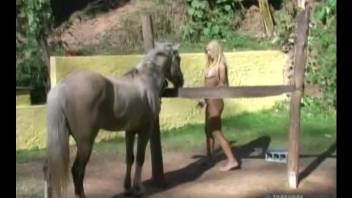 3D bestiality action with a pigtailed slut and hardcore horse