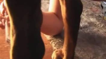 Teen 18+ girl swallows semen extracted from canine cock