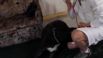 Voluptuous vixen with a passion for beasts relishes backdoor fun with her ebony pup