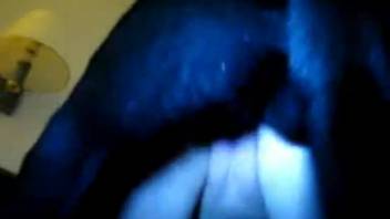 Large black canine passionately penetrates a vagina and ejaculates internally in amateur zoophilia footage