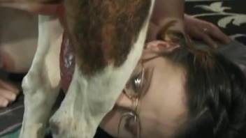 Babe with glasses works dog cock in her mouth while she moans like a slut