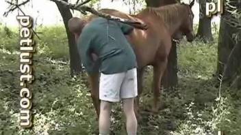 Horny guy in sexy undies finds the hottest horses to fuck