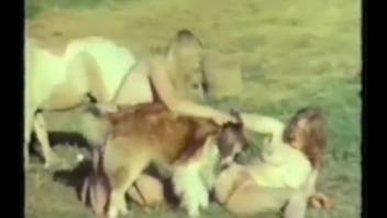 Classic animal-loving film featuring two youthful females being mounted by beasts