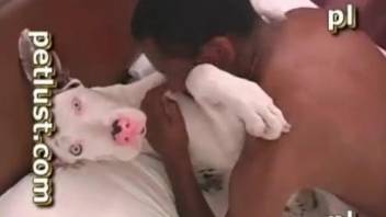 Big black dick impales tight anal hole of a playful doggy