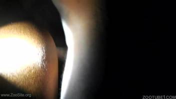 Delight in this evening animal sex film featuring steamy intimate shots