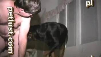 Dog fucks man in the butt hole for a complete amateur zoophilia anal play