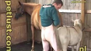 Pale-ass dude takes off his shorts to fuck a horny horse