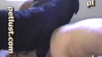 Beautiful amateur dog bestiality with owner and his muscled pet