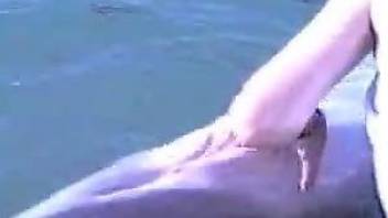 Horny man finger fucks dolphin on cam