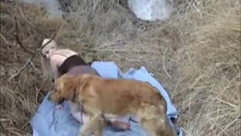 Collection of young girl 18+'s most intense intimate encounters with a canine