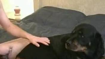 Dirty-minded man goes dirty with own obedient Rottweiler