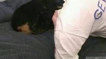 Perverted guy gets nasty with his submissive Rottweiler
