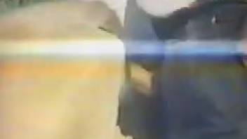 Steamy retro clip featuring dudes having outdoor adventures with a horse