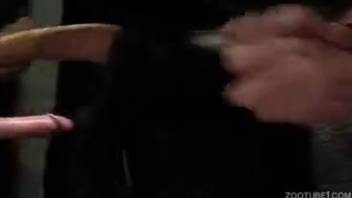 Guy thrusts his dick into a furry ebony beast