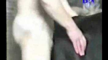 Filthy men thrust into large beasts and cum on their spines