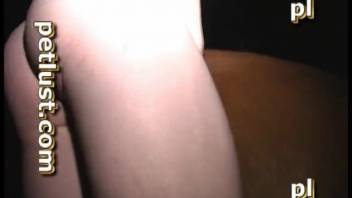 Perverted man with a stiff erection forcefully penetrates his attractive brown horse from the rear