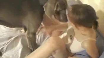 Cute vixen delivers a steamy oral pleasure to her charming pup on the bed