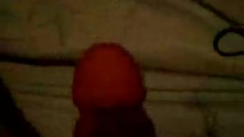 Puppy completely tongues the massive cock of its master