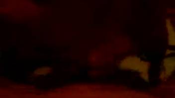 Amateur beast lover shoves his dick into the creature's orifice in a POV video