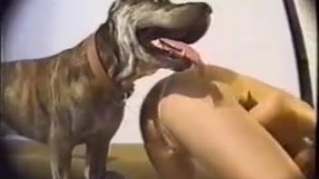 Hidden Cam: Dog Bangs Chick