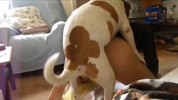 Lick ass