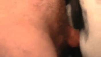 Daring guy thrusts his dick far into the cow's steamy cunt