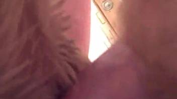 Detailed shot of novice pal screwing beast in the rear