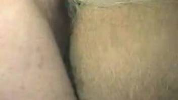 Well-endowed guy stretching open a female horse's moist vagina from the rear