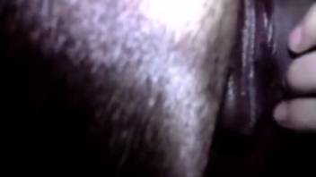 Guy is dying to lick this filly's moist cunt