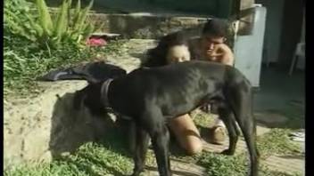 Massive black creature skewered the narrow cunt of a slender bestiality enthusiast
