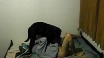 Camera films homemade sex of young guy and his black dog