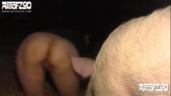 Huge ebony dog aggressively pounds an eager slut in the doggy position