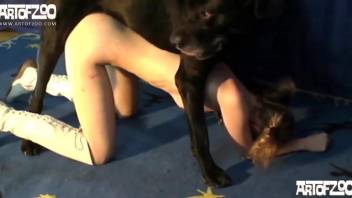 Big boobs amateur getting gaped by her kinky dog