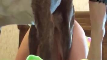 Stiletto-clad babe being pounded by a perverted pooch