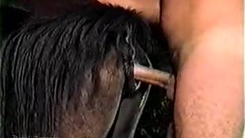 Horny rancher banging his horse's snug cunt